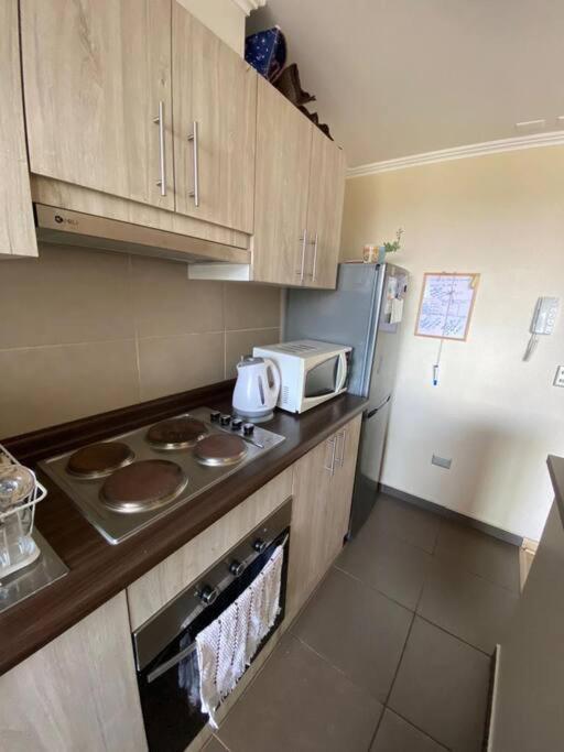 Apartamento Departamento Parque Al Volcan Villarrica